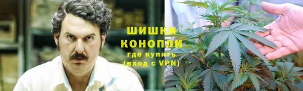 шишки Алексин