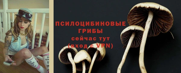 шишки Алексин