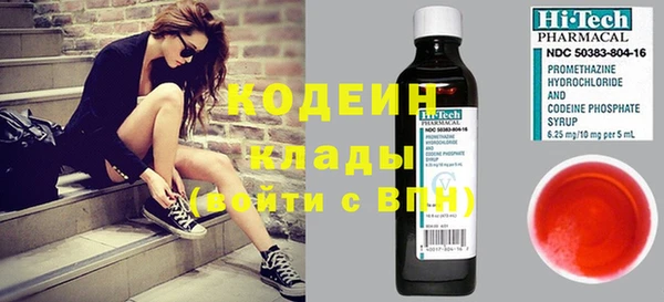 шишки Алексин