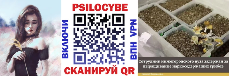 закладки  Первоуральск  MEGA рабочий сайт  Псилоцибиновые грибы мухоморы 